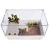 sunsun-turtle-water-box-2.jpg