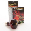 super-reptile-red-50w-po-12.jpg