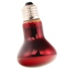 super-reptile-red-50w-po-13.jpg
