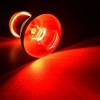 super-reptile-red-50w-po-14.jpg