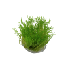 flame3.png
