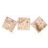 terrario-birch-backgroun-1.jpg
