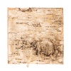 terrario-birch-backgroun.jpg