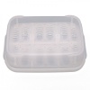 terrario-eggincubator-in-1.jpg