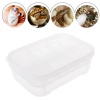 terrario-eggincubator-in-2.jpg