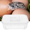 terrario-eggincubator-in-3.jpg