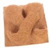 terrario-cocobackgroud-2-6.jpg