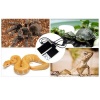 terrario-premium-repti-p-11.jpg