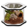 terrario-spiders-tube-bi.jpg