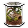 terrario-spiders-tube-bi-5.jpg