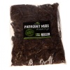 terrario-amazonia-moss-1-5.jpg