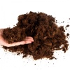 terrario-amazonia-moss-1-8.jpg
