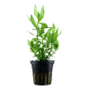 050.png