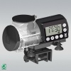 6061500-gSuqWG8HP2pc-jpg.jpeg