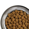 BELCANDO-CLASSICO-ADULT-.jpg