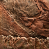 7637-3847-5b0529d29c52d0-79476119-7637-3-png-2.png