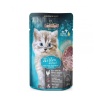 leonardo-kitten-85g-kons.jpg