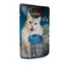 Leonardo-Pouches-Forelle.png