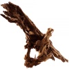 malaysian-driftwood-xl-korzen-40-60cm-2.jpg