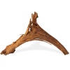 mangrove-root-indonesian-korzen-na-sztuki-m-3.jpg