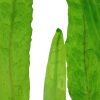 4-1.png