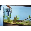 BioPlus-Service1-800x800.jpg