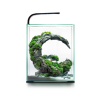 shrimp-set-day-night-30-122980-bez-tla-255.png