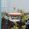 img-1996-1.jpg