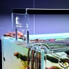 dsc-8293-final2.jpg