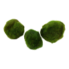000D-MP-5159-5ffc7c4962af89-70628835-000D-20MP-2-png-2.png