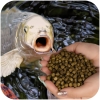 Glopex Premium Algen Feed - корм и витамины для рыб со спирулиной