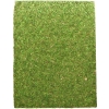 Repti-Zoo Natural Moss Back&ampBottom - taust ja samblasubstraat 50x25cm