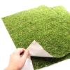 Repti-Zoo Natural Moss Back&ampBottom - taust ja samblasubstraat 50x25cm