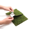 Repti-Zoo Natural Moss Back&ampBottom - taust ja samblasubstraat 50x25cm