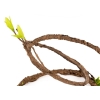 Repti-Zoo Jungle Multi Vines - hargnev bentwood liaan 150cm