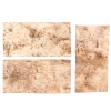 Terrario Birch Background - kooretaust 19.5 x 39cm