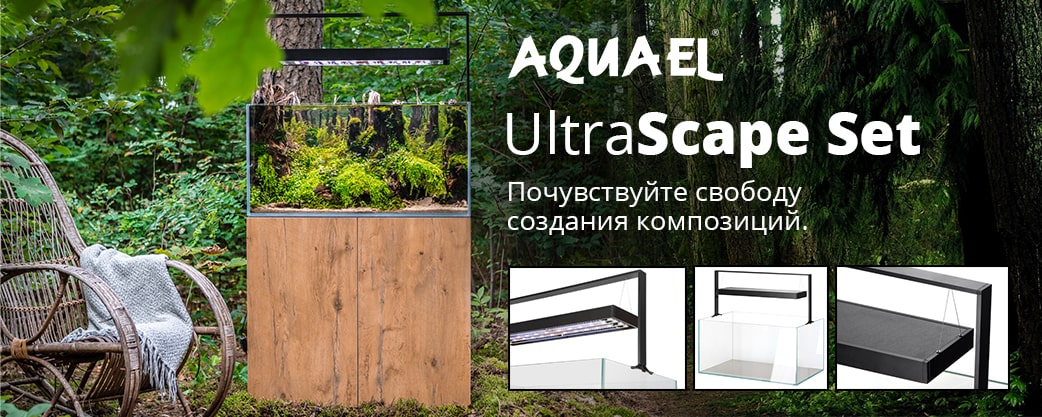 AQUAEL UltraScape Set — специально для ценителей